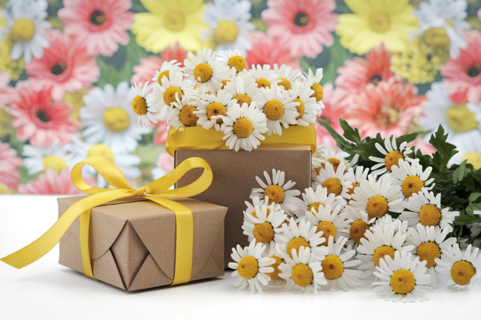 gift for $50, $50 and under gifts for her, gifts for woman under $50