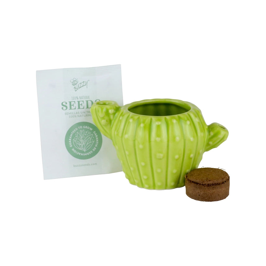 Cactus Grow Kit