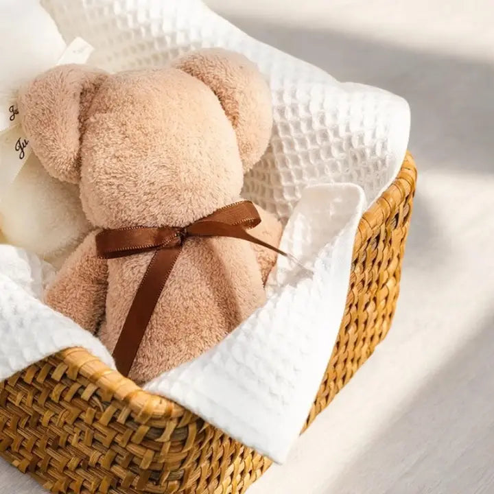 Teddy Bear Towel
