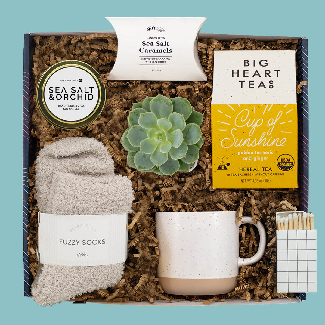 succulent gift boxes Sunshine & Sips Gift Box – Tea & Succulent Care Package