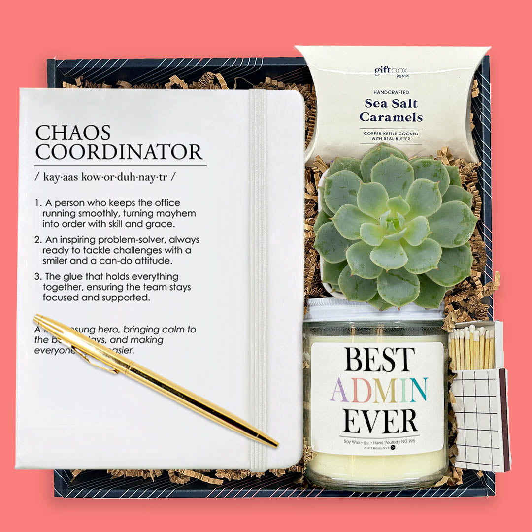 desk succulent gift Admin Appreciation Desk & Calm Gift Box