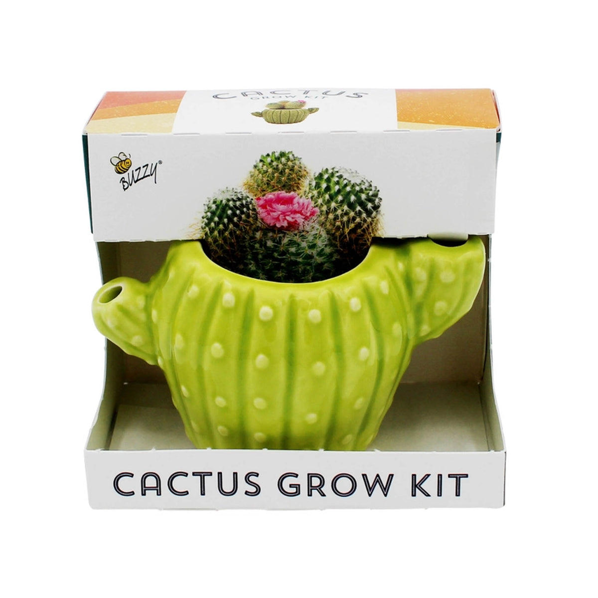 Cactus Grow Kit