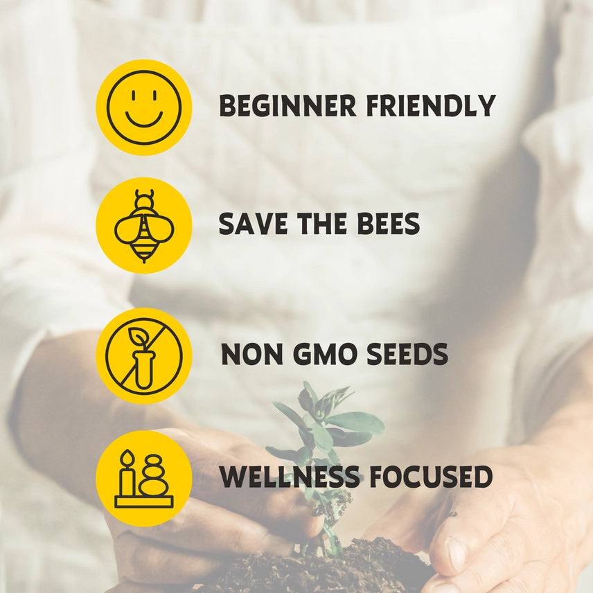 Sunflower Grow Kit