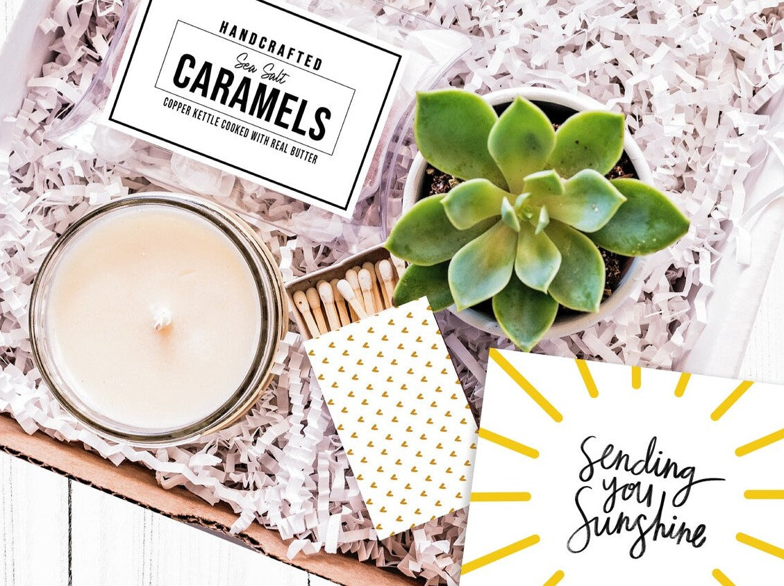 succulent thank you gift Sending You Sunshine Succulent Gift Box