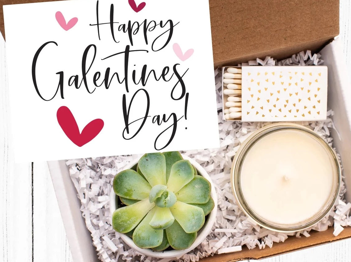 Happy Galentine&#39;s Day Gift Box For Succulent Lovers
