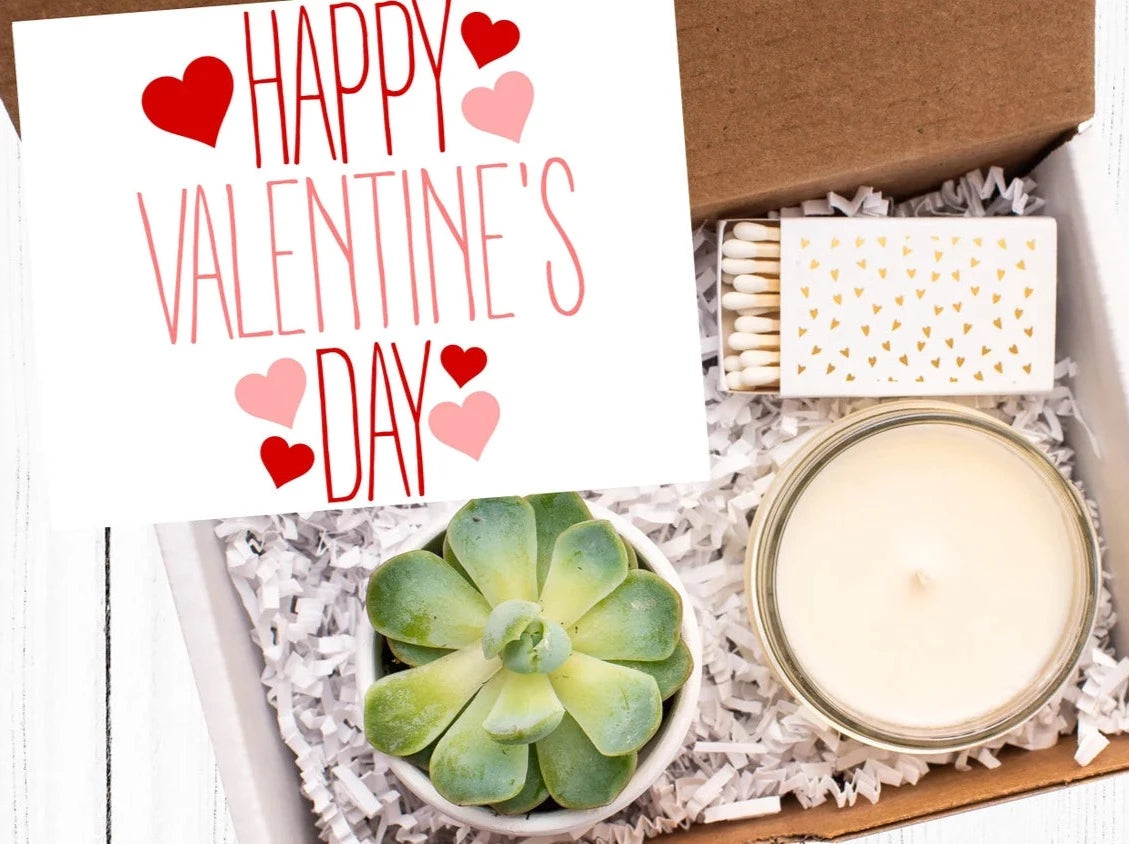 Galentine&#39;s Day Gift Box For Succulent Lovers