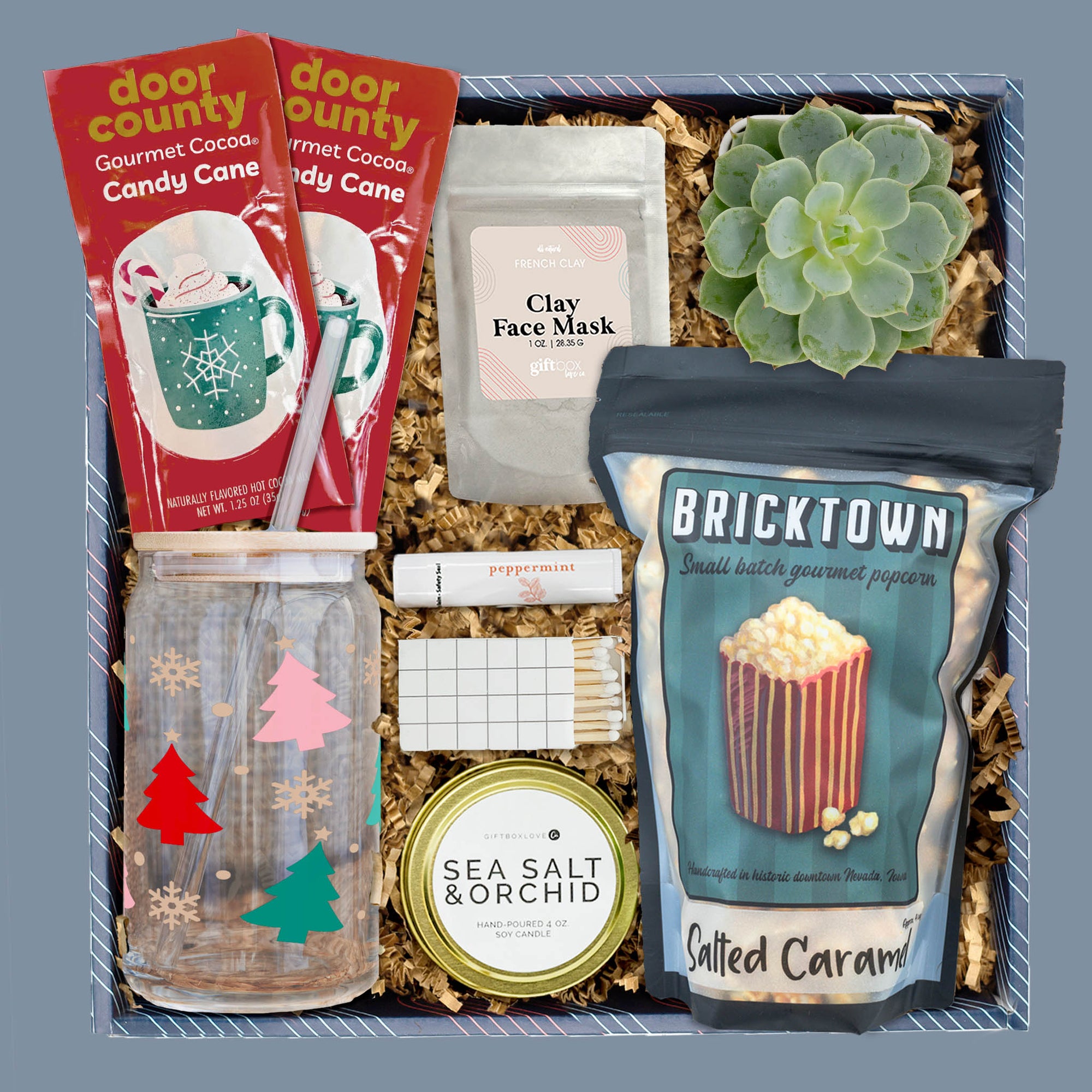 Merry and Bright holiday gift box with cocoa, popcorn, candle, and succulent