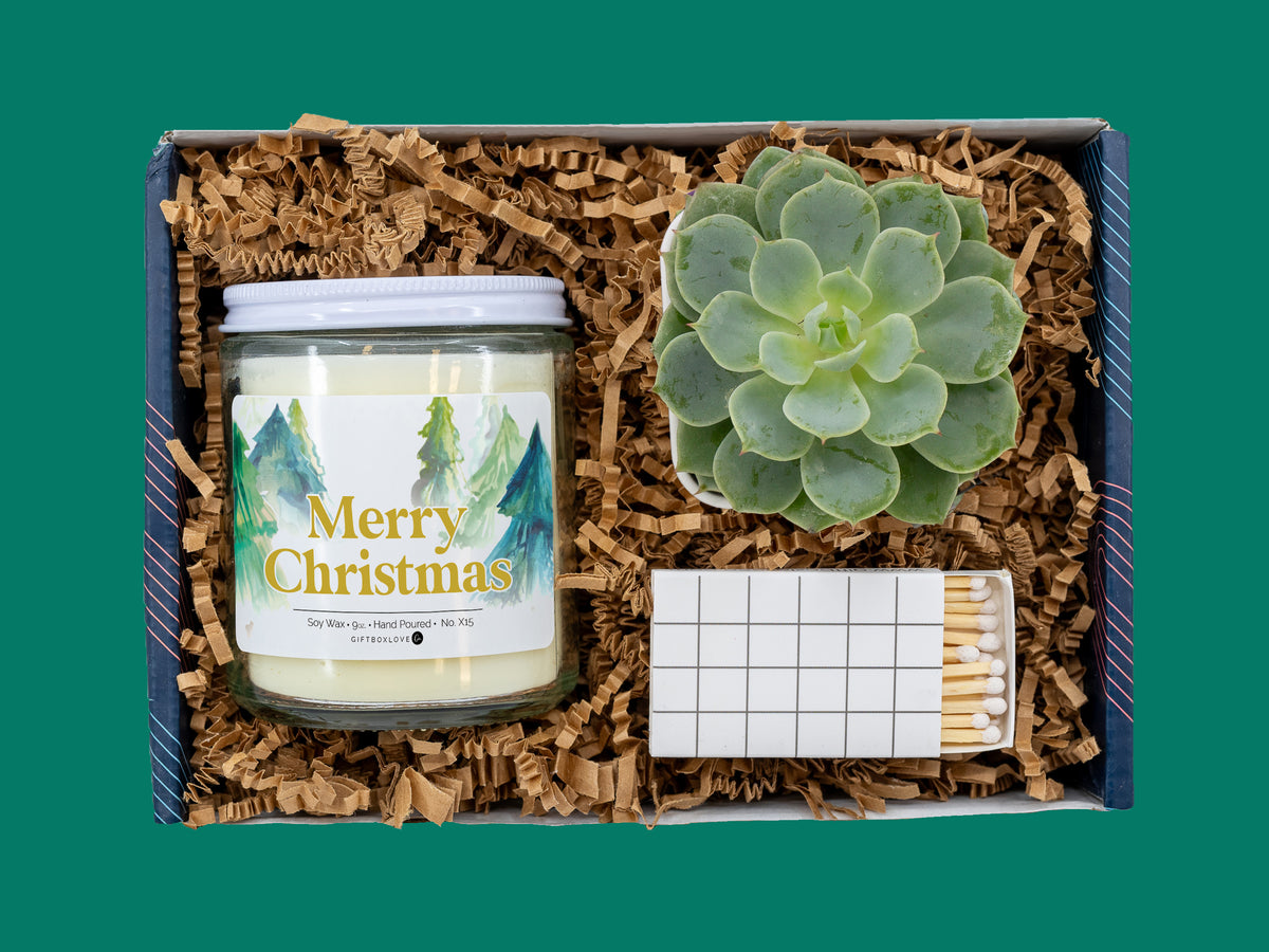 Christmas gift box with a soy wax candle, Merry Christmas label, live succulent in white pot, and decorative matches.