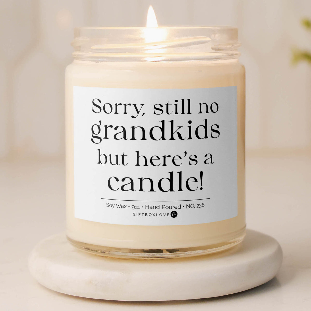 Hand-poured soy candle labeled “Sorry, still no grandkids but here’s a candle.”