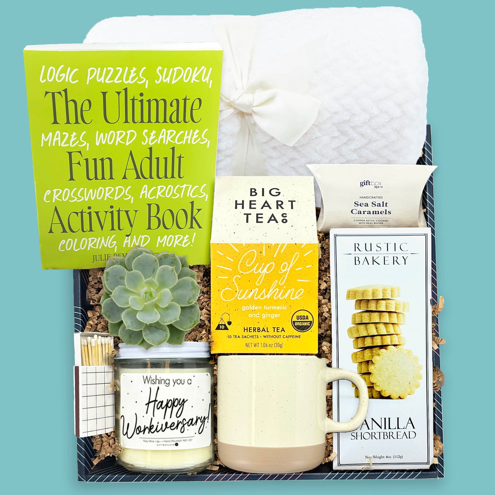 corporate wellness gift box with blanket tea mug succulent and activity book